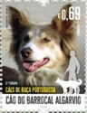 Algarve Barrocal Dog