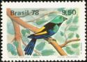 Seven-coloured Tanager (Tangara fastuosa) 
