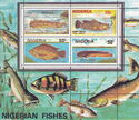 Nigerian Fish