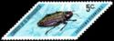 Metallic Wood Boring Beetle (Euchroma gigantea)