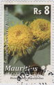 Flowers 2010 (Reprint of 2009 issue)