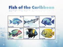Fish of the Caribbean