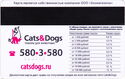 Cats & Dogs (Pro Plan)