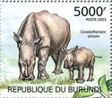 White rhinoceros (Ceratotherium simum)