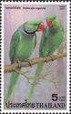 Alexandrine Parakeet (Psittacula eupatria)
