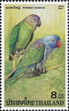 Blue-rumped Parrot (Psittinus cyanurus)
