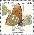 Argynnis paphia
