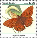 Argynnis paphia