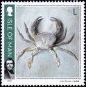 Painting of Crab by John Ruskin
