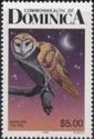 Barn Owl (Tyto alba)