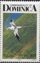 White-tailed Tropicbird (Phaethon lepturus)