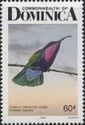 Purple-throated Carib (Eulampis jugularis)