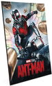2 Dollars (Marvel – The Infinity Saga Phase Two - Ant-Man)