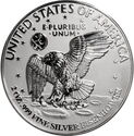 1971 Eisenhower Dollar Tribute Round