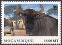 World of Wildlife - Antelope - Blue wildebeest - Gnu azul