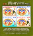 100th Anniversary of Boy Scouts of America