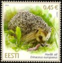 West European Hedgehog (Erinaceus europaeus)