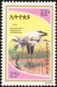 Secretarybird (Sagittarius serpentarius)
