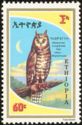 Abyssinian Long-eared Owl (Asio abyssinicus)