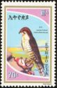 Lanner Falcon (Falco biarmicus)