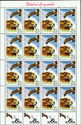 Common Buzzard (Buteo buteo) Sheet Type I