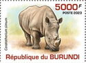 White rhinoceros (Ceratotherium simum)