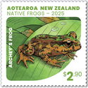 Archey's Frog (Leiopelma archeyi)