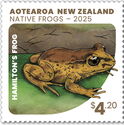 Hamilton's Frog (Leiopelma hamiltoni)