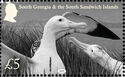 Wildlife of South Georgia