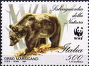 Marsican Brown Bear (Ursus arctos marsicanus)