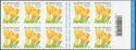 Booklet Tulip "Darwin - Golden Apeldoorn"