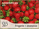 Strawberries (Fragaria sp)
