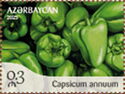 Chili Pepper (Capsicum annuum)