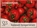 Tomato (Solanum lycopersicum)