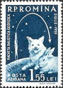 Dog, Rabbit, Globe, Rocket with Orbit