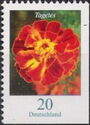 African Marigold (Tagetes erecta)