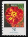 African Marigold (Tagetes erecta)