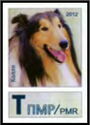 Collie (Canis lupus familiaris)