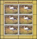 White Stork (Ciconia ciconia)