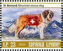 St. Bernard, Mountain Rescue Dog