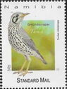 Groundscraper Thrush (Turdus litsitsirupa)
