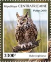 Great Horned Owl (Bubo virginianus)