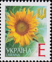 Sunflower (Helianthus annuus)