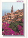 Menton: bougainvillea in the city