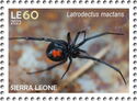 Latrodectus mactans