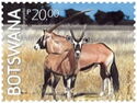 Antelopes of Botswana