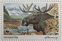 European Moose (Alces alces), Jämtland