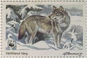 Eurasian Wolf (Canis lupus), Värmland