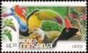 Birds. Keel-Billed Toucan (Ramphastos sulfuratus)