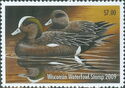 American wigeon (Mareca americana)